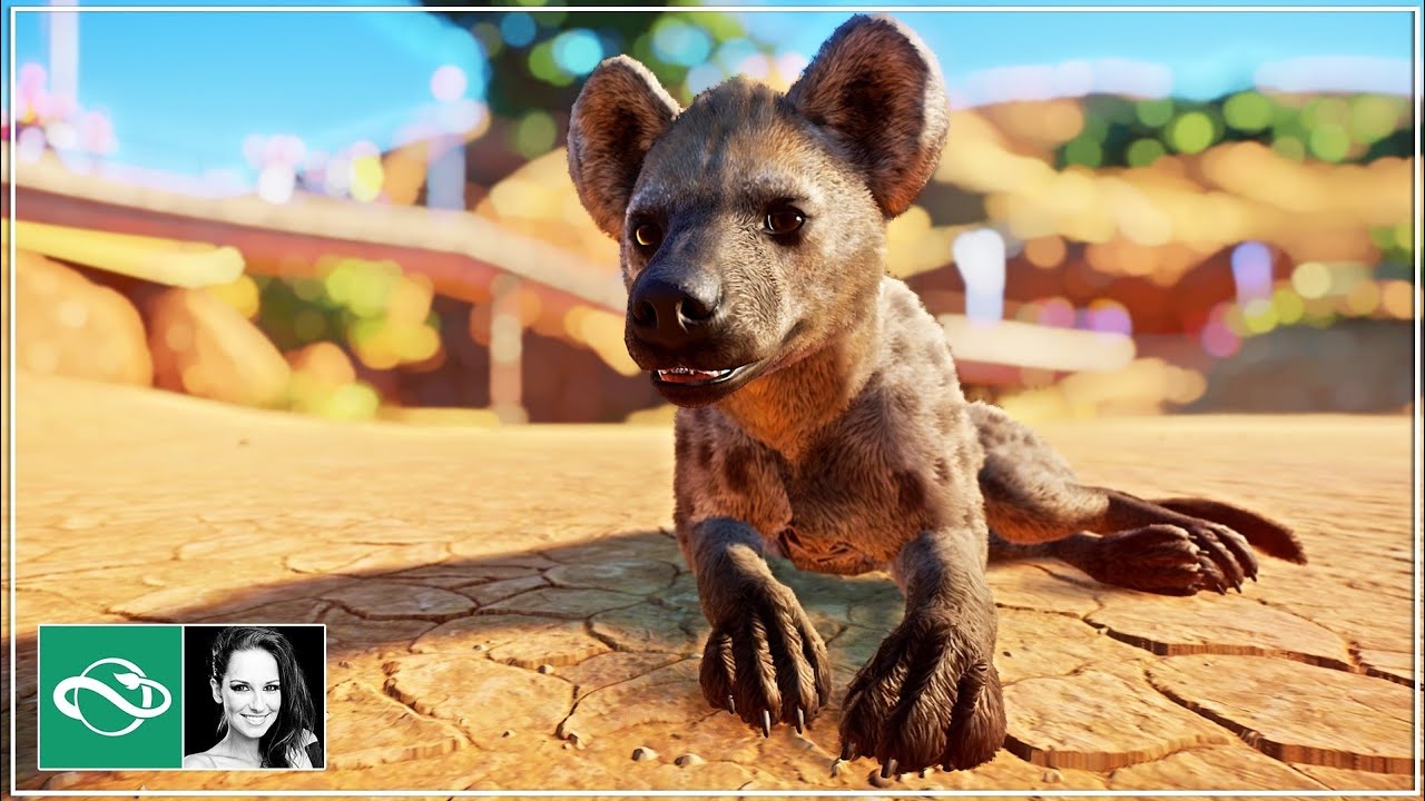 🔴 Planet Zoo launch | Live Stream | - YouTube