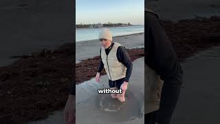 The Hidden Danger of Quicksand