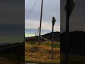🇳🇴 #norway #norwegia #norge #norwaytrip #travel #shortvideo #shorts #short #music #musicvideo