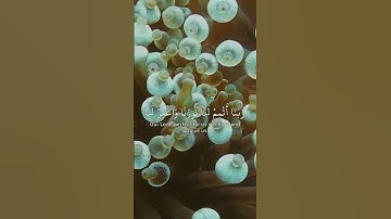 تلاوة لأيات مختارة من سورة التحريم بصوت القارئ أحمد خضر