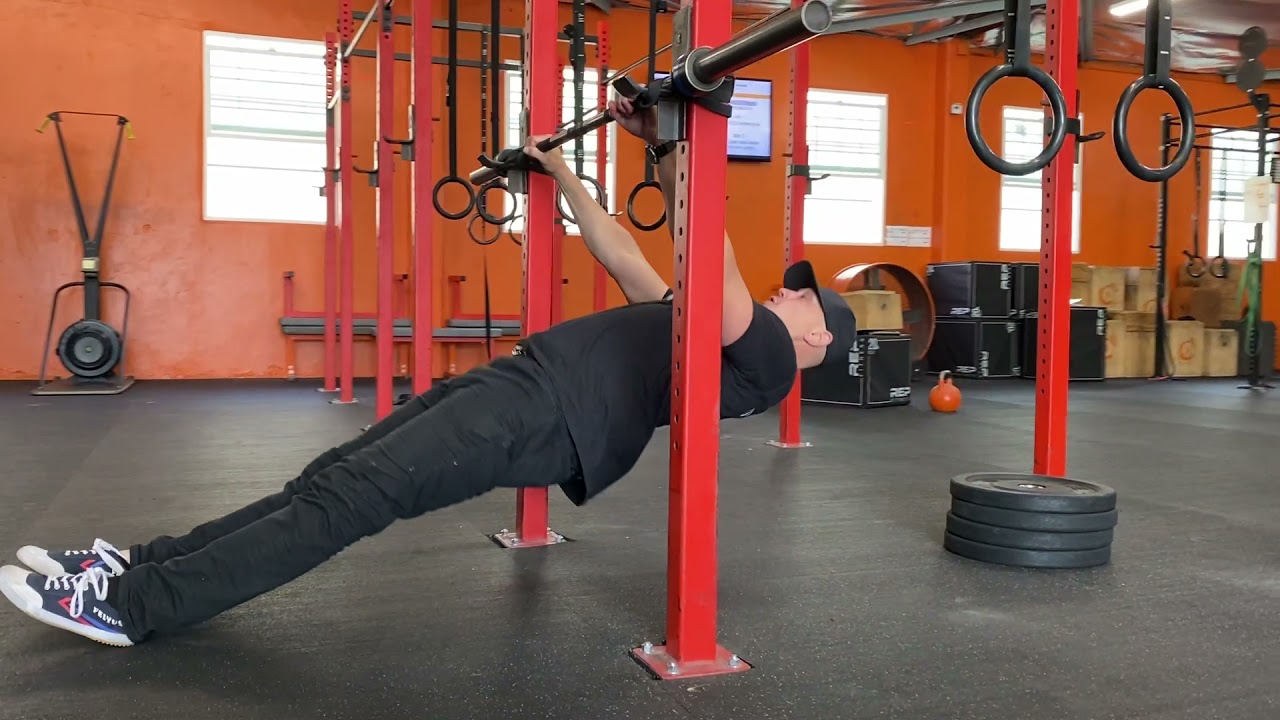 Bodyweight Bar Horizontal rows. a pull up regression 