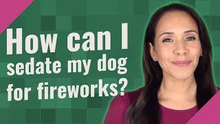 How can I sedate my dog for fireworks?