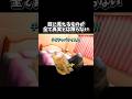 【猫ミーム】目に見えるものが全て真実とは限らない