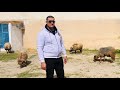 زبير الحمروني مهرجان الرادسة هكا يجي الرعواني 