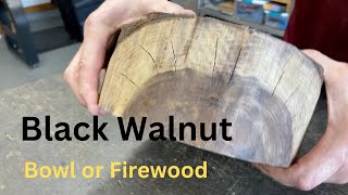 All Cracked up over Black Walnut