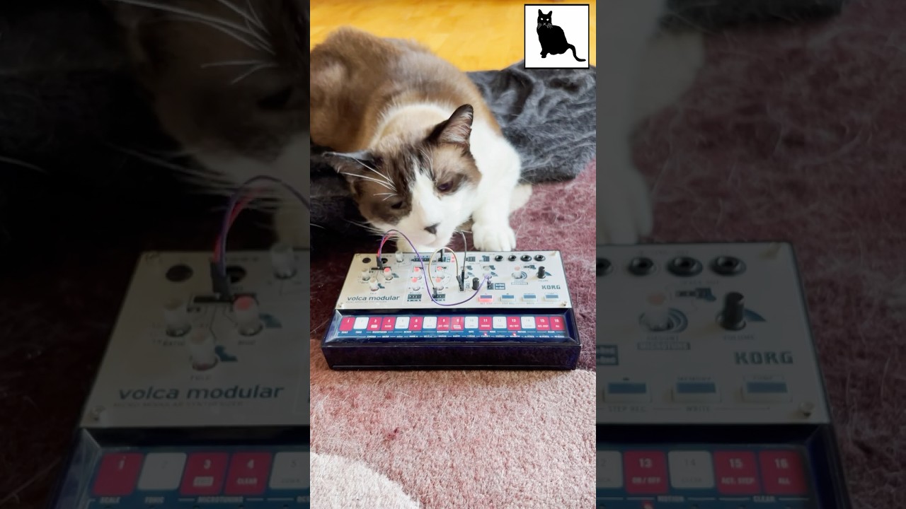 July 2025 - CatSynth
