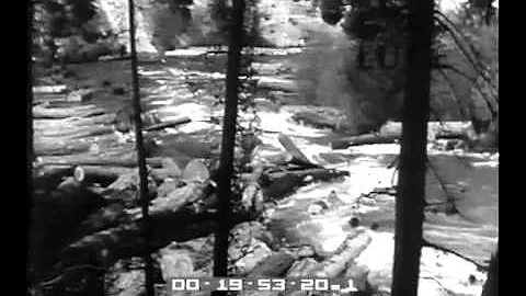 Dove si trova l Oregon negli Stati Uniti?