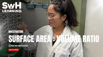 Oppervlakte: Volumeverhouding Praktisch | SwH Learning