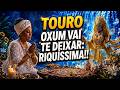 SIGNO DE TOURO, A MAIOR E MELHOR SURPRESA DA TUA VIDA CHEGA AGORA!!