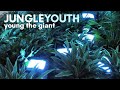 YOUNG THE GIANT - JUNGLE YOUTH LYRICS