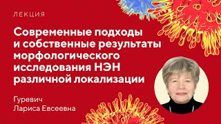 Современные подходы к морфологическому исследованию НЭН различной локализации // Гуревич Л.Е.