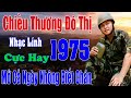 Chiều Thương Đô Thị, Tình Yêu Và Lính...Liên Khúc Rumba Lính 1975 Vượt Thời Gian, Đắm Say Bao Thế Hệ