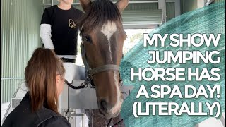 My show jumper has a spa day (literally)