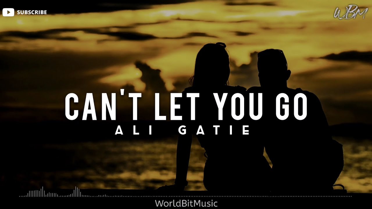 Ali Gatie - Can't Let You Go (Lyrics Video) - YouTube