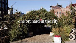 highlights from our apple orchard pop-up | kate spade new york - YouTube