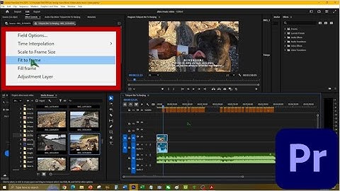 How To Use Fit To Frame In Adobe Premiere Pro 2025