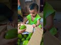 Traya &daiwik #shortsshort #cutebaby #shortsviral #emotionalstory #baby #funny