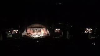 Weird Al at the Hollywood Bowl