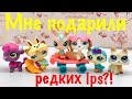 LPS: МНЕ ПОДАРИЛИ РЕДКОГО ПЭТА!? (Mail time #10)