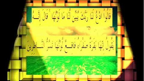 القرآن الكريم سورة البقرة الأية 69.wmv