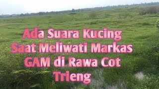 Mendengar Suara Kucing Saat Meliwati Markas GAM di Rawa Cot Trieng