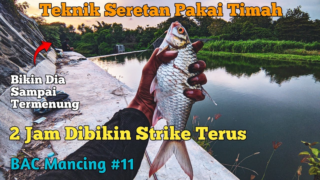 Awalnya Coba2 Hlaaa Kok Strike Terus⁉️| BAC MANCING #11