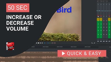 Lightworks Tutorial: How to Increase or Decrease Volume in Lightworks
