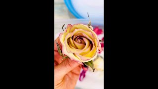 Drying Flowers Using Activa Silica Gel - Dried Flowers For Resin  Preservation 