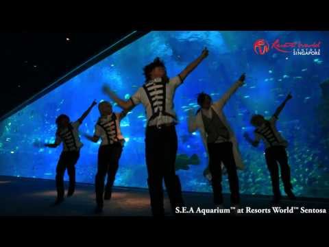 【アルスマグナ】朴の胃腸炎でおちん【ギガンティックO.T.N.】