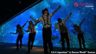 Gigantic O.T.N with Park's diarrhea