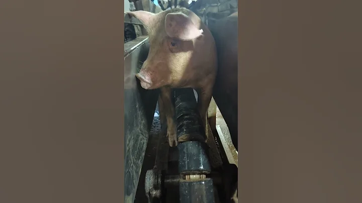 Destiny is no longer your own #shorts