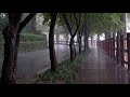 비오는 산책길 불면증 수면을 위한 최고의 폭우 소리 ASMR 빗소리 백색소음