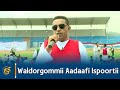 Waldorgommii Aadaafi Ispoortii