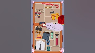 Perfect Tidy Level 12 Walkthrough