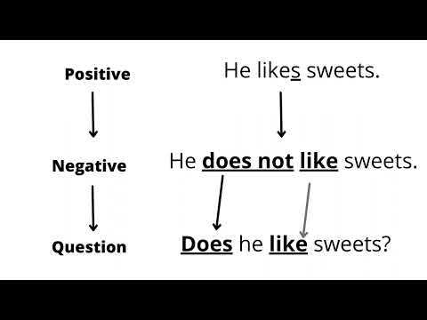 1-minute: English Statements in Simple Present Tense (action verb)