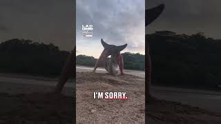 He Found A Beached Dolphin On His Morning Walk Tt Daniel.barousse