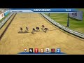 Best Dog Betting Game  Greyhound Racing game 3D virtual ...