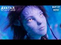 Avatar: The Way of Water | &quot;Journey&quot; | Buy It on Digital, Blu-ray, Blu-ray 3D, and 4K Ultra HD