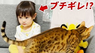 ユニクロのピカチュウパジャマを着る2歳娘は猫に邪魔されると怒っちゃう