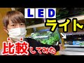 LEDライト比較～水草水槽、レイアウト水槽のライト選びにコトブキ・GEX・テトラ・アクロ～【アクアリウム】