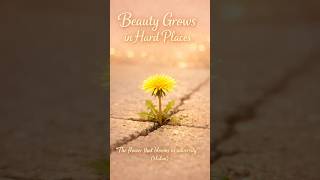 “The Flower That Blooms in Adversity” 🌼 | Mulan Quote | Sidewalk Dandelion Inspiration screenshot 3