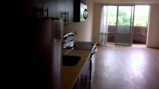 Apt #424 Studio ~ East Facing