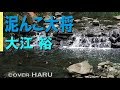 「泥んこ大将」大江裕 cover HARU