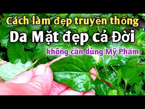 #1 Cách làm đẹp truyền thống giúp Da mặt đẹp mịn màng, trị Thâm nám tàn nhang. PHAN HẢI Channel Mới Nhất