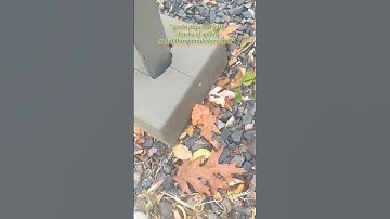 Muggle Interactions!! #geocaching #geocacher #geocache #geocachingfun