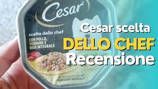 Cesar scelta dello Chef recensione   Cibo umido per cane
