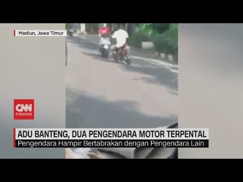 Adu Banteng, Dua Pengendara Motor Terpental