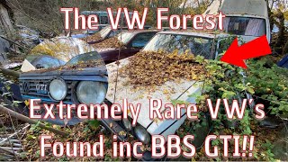 The VW Forest.. An Incredible Collection Of Rare Classics Inc A Mk2 BBS GTI, VR6, 4 Motion & More!