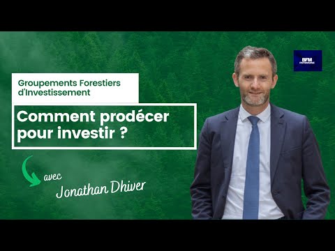 Idée de placements : Comment procéder pour investir dans un groupement forestier  ?