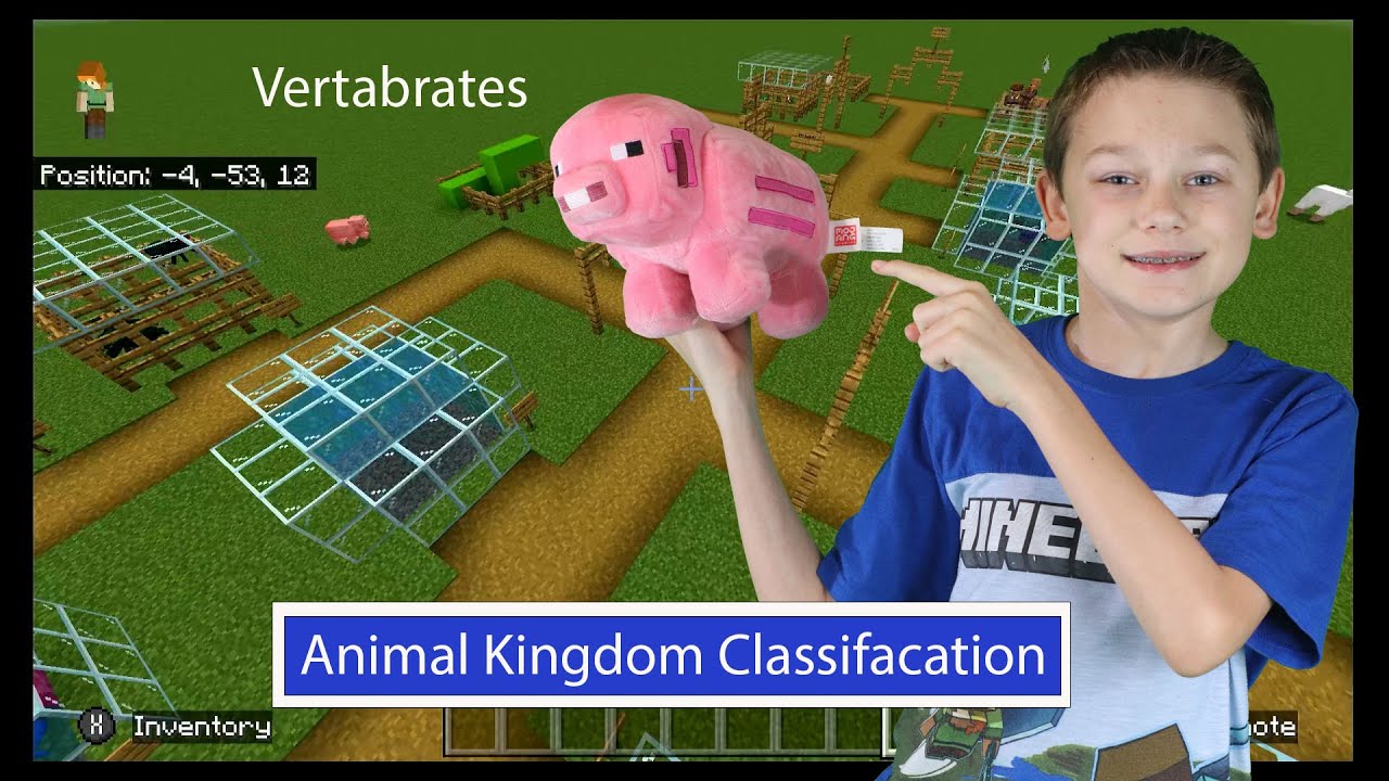 Animal Kingdom Classification with Minecraft - YouTube